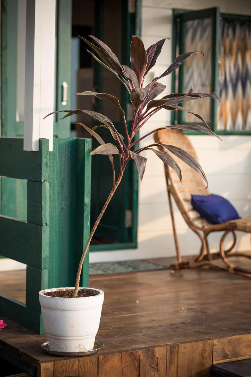 Nest Cottages Canacona Dış mekan fotoğraf